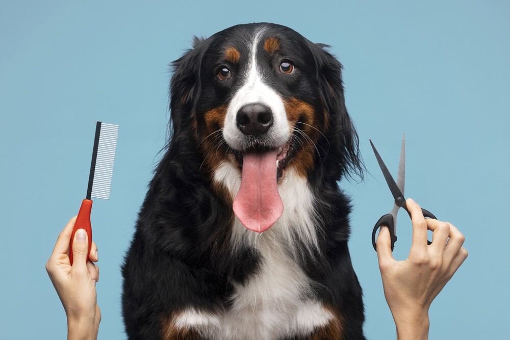 Grooming for Shedding Control