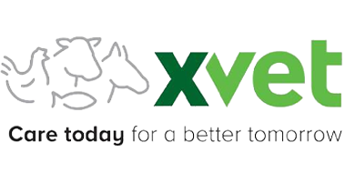 xvet