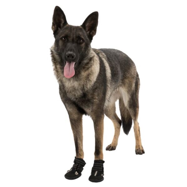 Walker Active Protective Boots